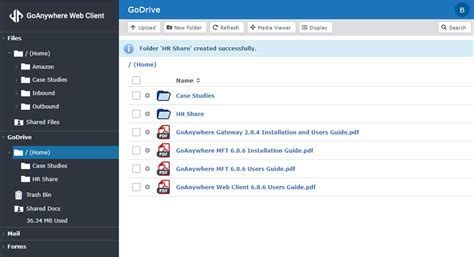 GoDrive Web Client .